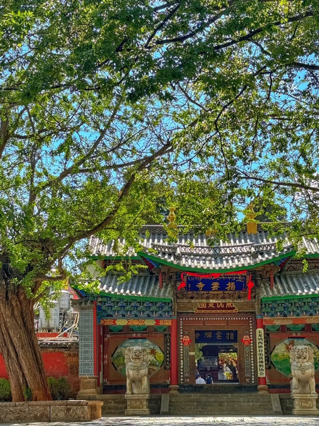 Yunnan Hidden Gem 💎 