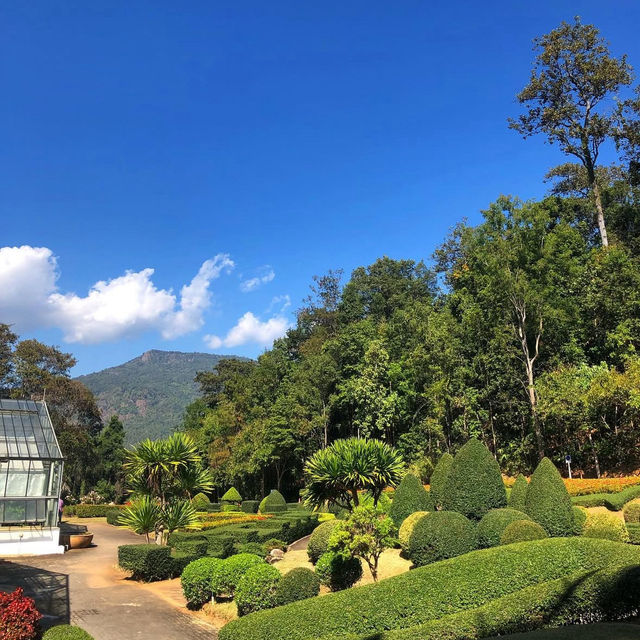 สวนพฤกษศาสตร์ เชียงใหม่🌵✨🍃