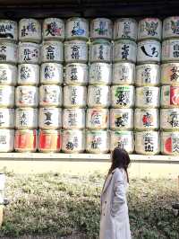 ⛩️ Peaceful Escape at Meiji Jingu ⛩️