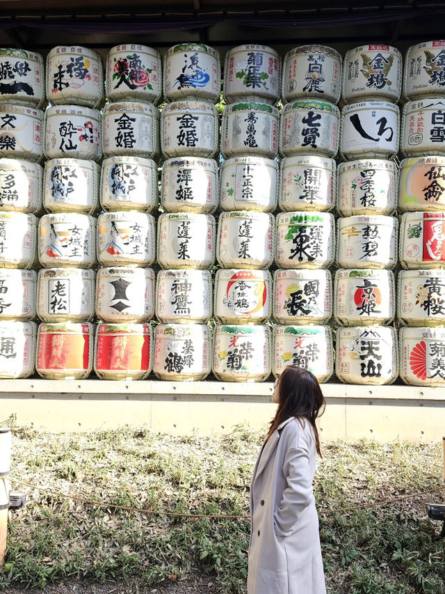 ⛩️ Peaceful Escape at Meiji Jingu ⛩️