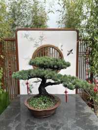 Yu Garden, A Classical Oasis in the Heart of Shanghai