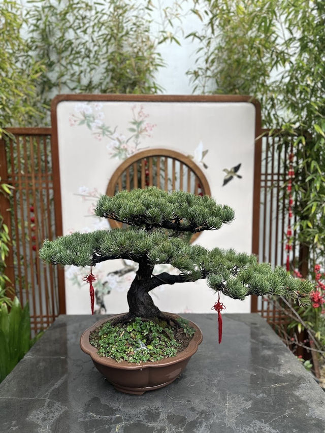 Yu Garden, A Classical Oasis in the Heart of Shanghai