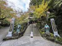 🌄 Nanzoin Temple – Tranquility Beneath the Giant Buddha