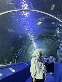 มาดูปลาที่ Chiang Mai Zoo Aquarium 🐠🫧