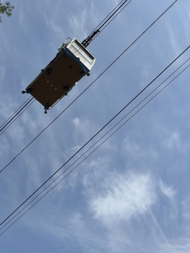 🚡空と海をつなぐ絶景旅「弥彦山ロープウェイ」で五感が満たされるひととき