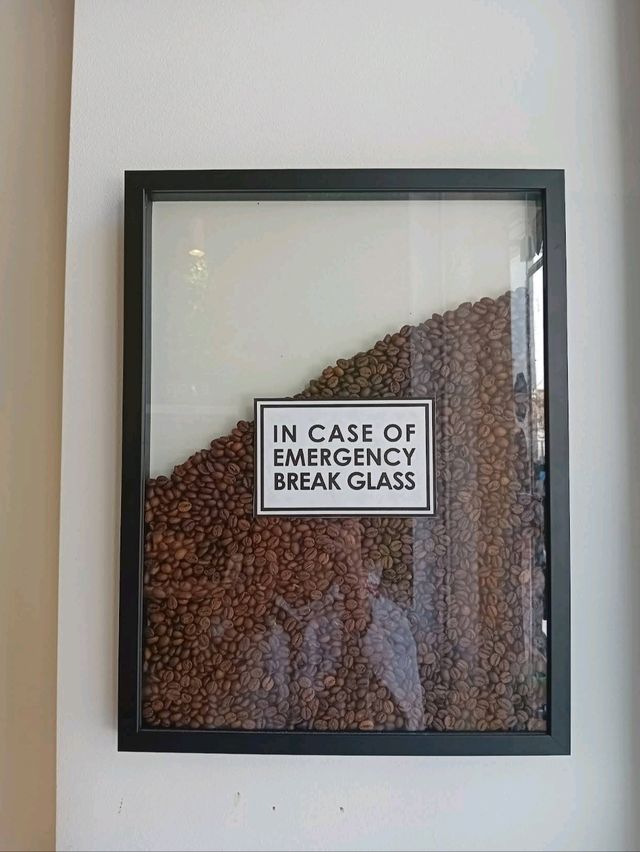 소피아 | 나만의 커피 보물창고 발견! EZAR Specialty Coffee ✨☕️