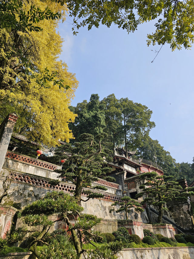 🏔️ Ultimate Dujiangyan Adventure: Your Complete Guide to Chengdu's Ancient Engineering Marvel! 🌊