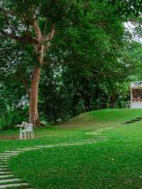 Favor Field Cafe