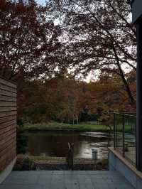 Regina Resort Karuizawa Mikage water