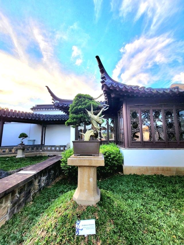 Time-honored Bonsai collection at the Bonsai Garden