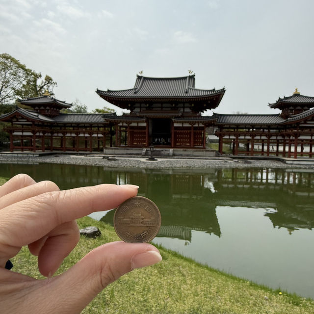 📍Day Trip from Osaka: Nara & Uji ✨