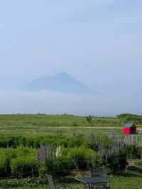 9 Days in Sapporo; Otaru; Lake Toya; Furano; Biei and Back to Sapporo