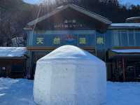 日帰りで楽しむ日光・鬼怒川の旅