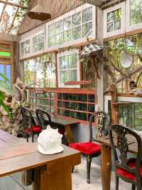 medjora.cafe