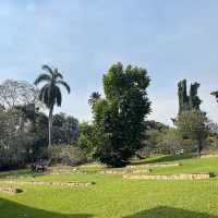 🌿達爾文私藏文藝系路線｜免費博物館 + 熱帶植物園，拍照好逛又好涼🎨🌳