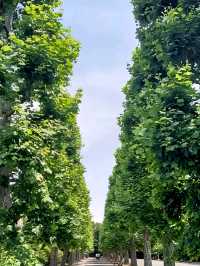 Shinjuku Gyoen