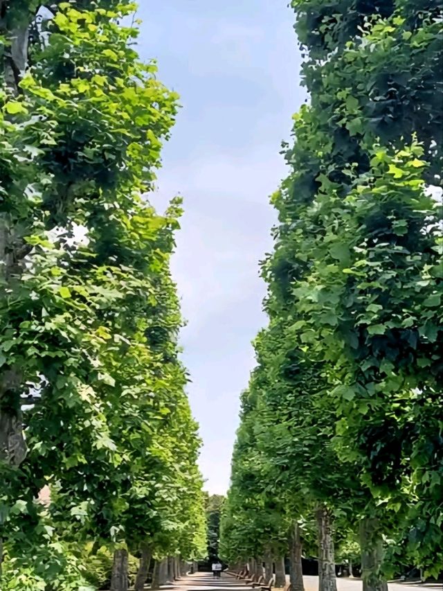 Shinjuku Gyoen