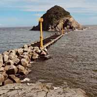 Doodo Park, Busan: A Hidden Coastal Oasis with Unique Rock Formations