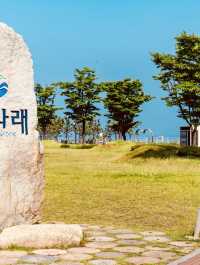 Sihwa Seawall, Gyeonggi Province: An Engineering Marvel and Ecological Hub