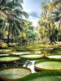 Charming Corners of Ho Chi Minh City