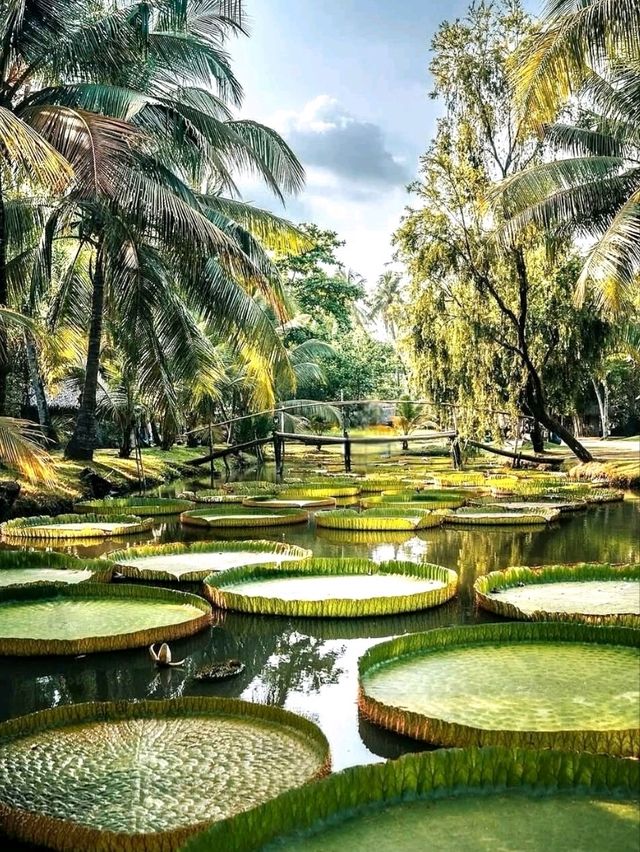 Charming Corners of Ho Chi Minh City