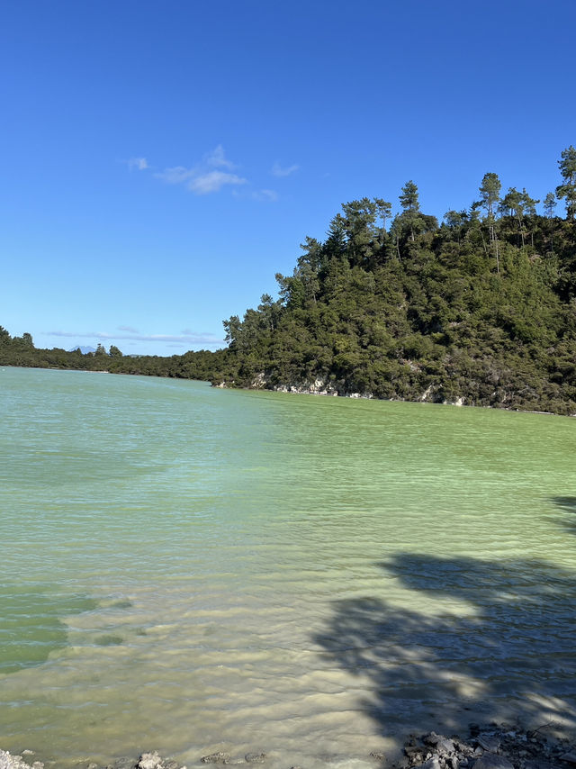 🥑紐西蘭「牛油果硫磺泉」爆美打卡｜Wai‑o‑Tapu Devil’s Bath 全攻略 