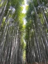 @ ARASHIYAMA IN KYOTO.