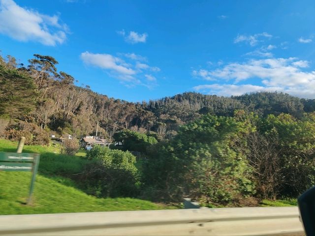 阿波罗湾到坎伯兰河（ Apollo Bay→ Cumberland River）—大洋路的隐秘海岸线