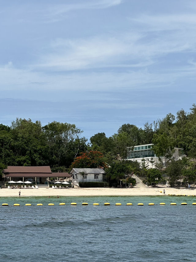 Pattaya To Koh Larn Ferry Cost: Only 30 Baht!