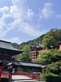 🦊【打開神域山林｜佐賀祐德稻荷神社】千本鳥居下的心願與祝福🌿⛩️