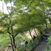 🗿🌿 The Great Buddha of Kamakura – Stillness in Bronze