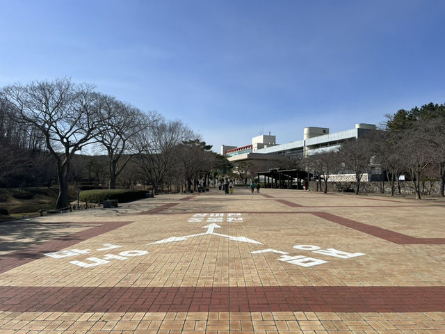 🌳 자연 속 힐링 실외데이트! 울산대공원 산책 추천 💚
