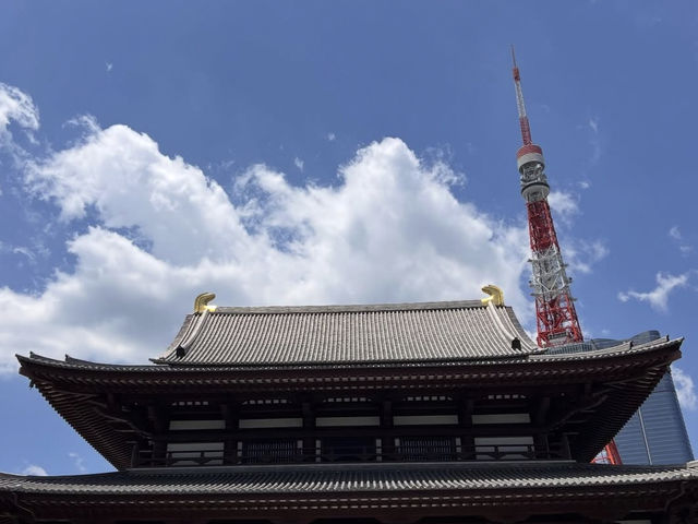 東京 増上寺 🏯🌸