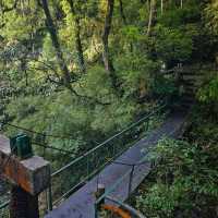 Thac Bac (Silver Waterfall, Sapa)