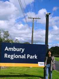 ไปหาน้องแกะที่ Ambury Farm Regional Park📍🐑