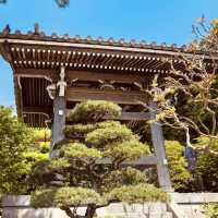 🌊 Solo Zen Escape: Hase-dera Temple in Kamakura