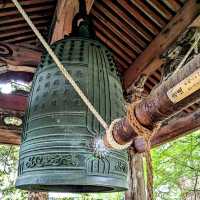 京都 | 青蓮院門跡，東山區優美的賞楓秘境