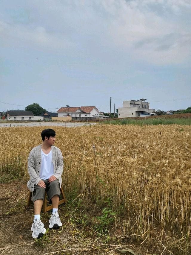목포근교 드라이브하기좋은 무안 감성카페