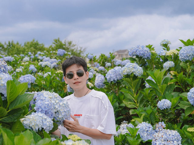 เที่ยวสสนไฮเดรนเยีย ดาลัด ประเทศเวียดนาม