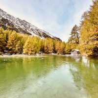 🏔️ Solo Alpine Escape: Swiss Summer Magic