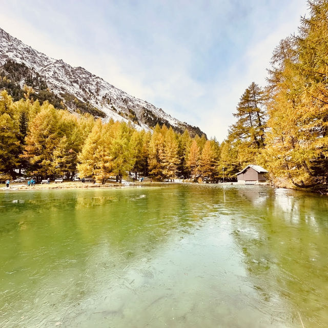 🏔️ Solo Alpine Escape: Swiss Summer Magic