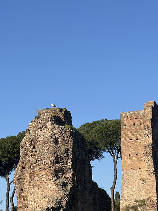 Palatine Hill: Where Emperors Dreamed And Rome Was Born