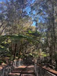 Lane Cove National Park – Sydney