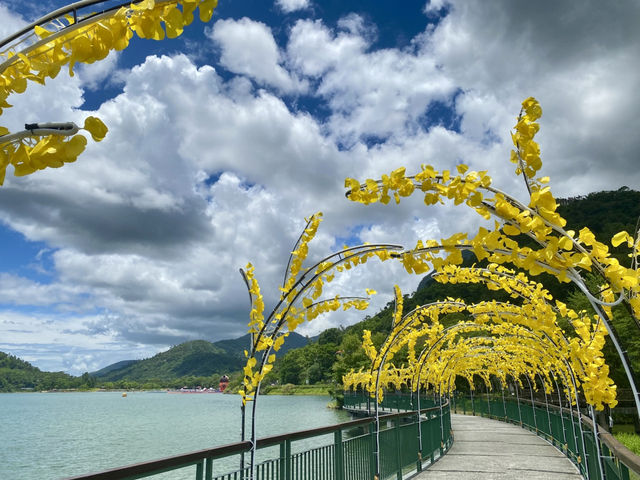 鯉魚潭 花蓮FUN 暑假 cool涼一夏