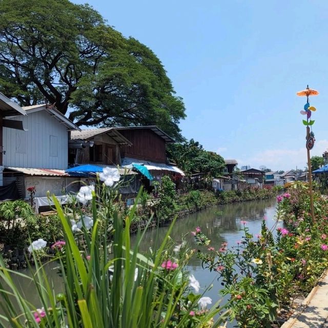 치앙마이 클롱 매 카 방문 후기 🌱