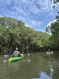 🌴【奄美大島】世界遺産のマングローブでカヌー🛶