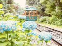 Rokko Cable Car (六甲ケーブル) – Kobe’s Scenic Ride to the Stars** 🌄🚠   