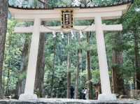 Kii Katsuura Kumano Kodo: The Daichimon-zaka Hike & Nachi Falls Challenge! 🚶‍♀️💦
