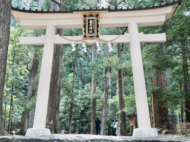 Kii Katsuura Kumano Kodo: The Daichimon-zaka Hike & Nachi Falls Challenge! 🚶‍♀️💦