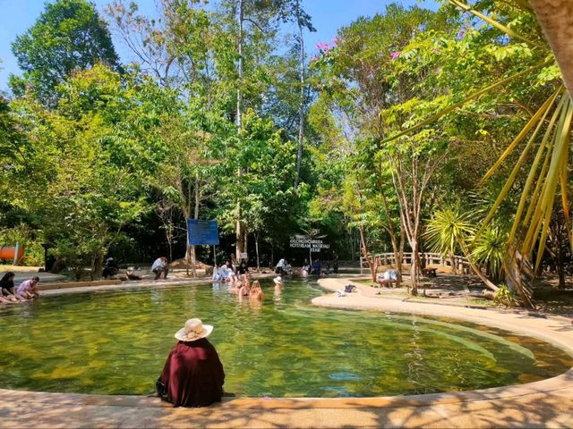 Hot Tubs, But Make It Jungle